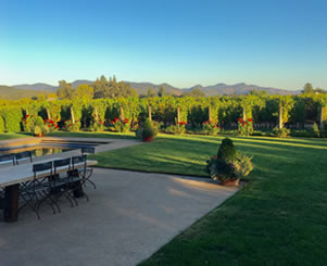 estate vineyard, patio and pool