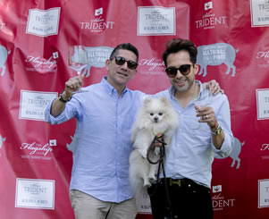 two guests and dog