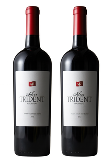 2023 Playing with Fire Malbec Add-on 1