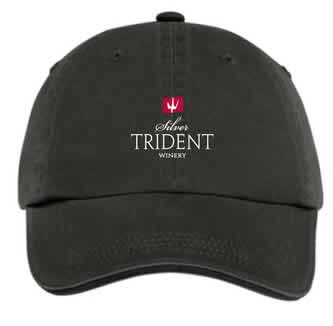 STW Logo Hat - Black 1