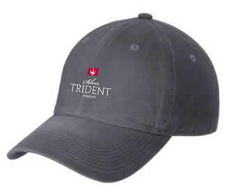 STW Logo Hat - Grey 1