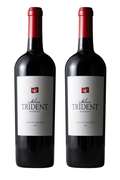 2023 Playing with Fire Malbec Add-on